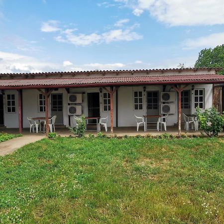 Casa Ioana Hotel Costineşti Exterior foto